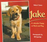 Jake: A Labrador Puppy at Work and Play �\��