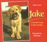 Jake: A Labrador Puppy at Work and Play (A Sunburst Book) �\��