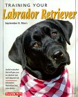 Training Your Labrador Retriever (Training Your Dog) �\��
