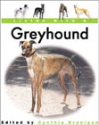 Living With a Greyhound (Living With a Pet Series) �\��