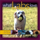 What Labs Love (Pets) �\��