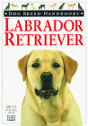 Labrador Retriever (Dog Breed Handbooks) �\��