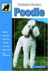 The Guide to Owning a Poodle (Re Dog) �\��