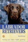 Labrador Retrievers �\��