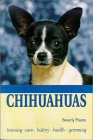 Chihuahuas �\��