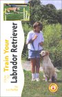How to Train Your Labrador Retriever (Tr-103) �\��