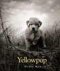 Yellowpup �\��