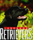 Labrador Retrievers (Little Books) �\��