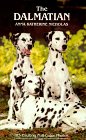 The Dalmatian (How to Train) �\��