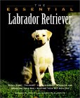 The Essential Labrador Retriever (The Essential Guides) �\��