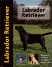 Labrador Retriever (Pet Love S.) �\��