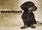 Day of the Dachshund �\��