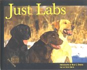 Just Labs (Just Pets) �\��