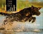 The Life of a Lab �\��
