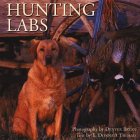 Hunting Labs �\��