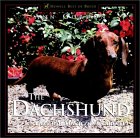 The Dachshund: A Dog for Town and Country (Howell Best of Breed) �\��