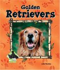 Golden Retrievers (ANIMAL KINGDOM SET II) �\��