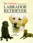 The Ultimate Labrador Retriever (Book of the Breeds) �\��