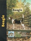 Beagle �\��