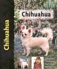 Chihuahua (Pet Love) �\��