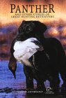 Panther: And Other Stories of Great Hunting Retrievers �\��