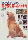 �����̌�(��)�������΂񌫂����C�Ɉ�Ă邵�����\�}�� �z�[���p���u�b�N�X �\��