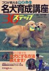 �v����������₳���������琬�u��30�X�e�b�v �\��