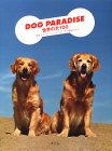 DOG PARADISE�\���E�̌�100 �\��