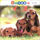 ���͂������}�Ӂq7�r�C�k ���͂������}�� (7) �\��