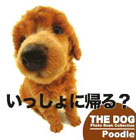 THE DOG Photo Book Collection Poodle �\��