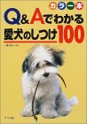 Q&A�ł킩�鈤���̂���100 �\��