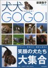 ����GOGO!