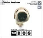 THE DOG�`Golden Retriever �\��