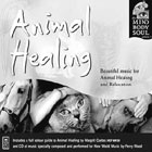 Animal Healing