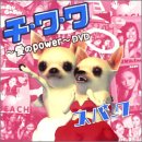 �V���O��V�u�`�E���E���`����POWER�`�v  �\��