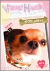 Visual Healing 10 �`����(�p�e�B) �\��