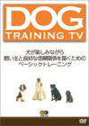 DOG TRAINING TV