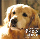 NHK�y�j�h���}�u�f�B����~�^���̌��v�I���W�i���E�T�E���h�g���b�N