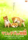 �}���Ǝq���̕��� �X�^���_�[�h�E�G�f�B�V���� �\��