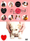 �v���C�Y�^�b�` �����Ƃ̊ȒP�{�f�B���[�N [DVD]