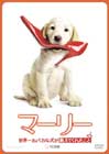 �}�[���[�@���E�ꂨ�o�J�Ȍ��������Ă��ꂽ���� (���ʕ�) [DVD]