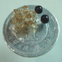 It is placed on Coin(2cm in dia.)