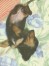 ダイズ ちゃん