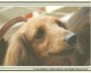 まりん ちゃん