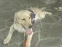 一休 ちゃん