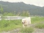 四道 ちゃん
