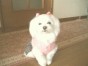 ノア ちゃん