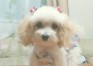 ちゅら ちゃん