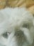 磨魅 ちゃん