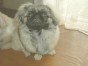 小鉄 ちゃん